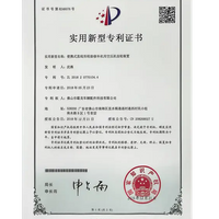Invention Patent